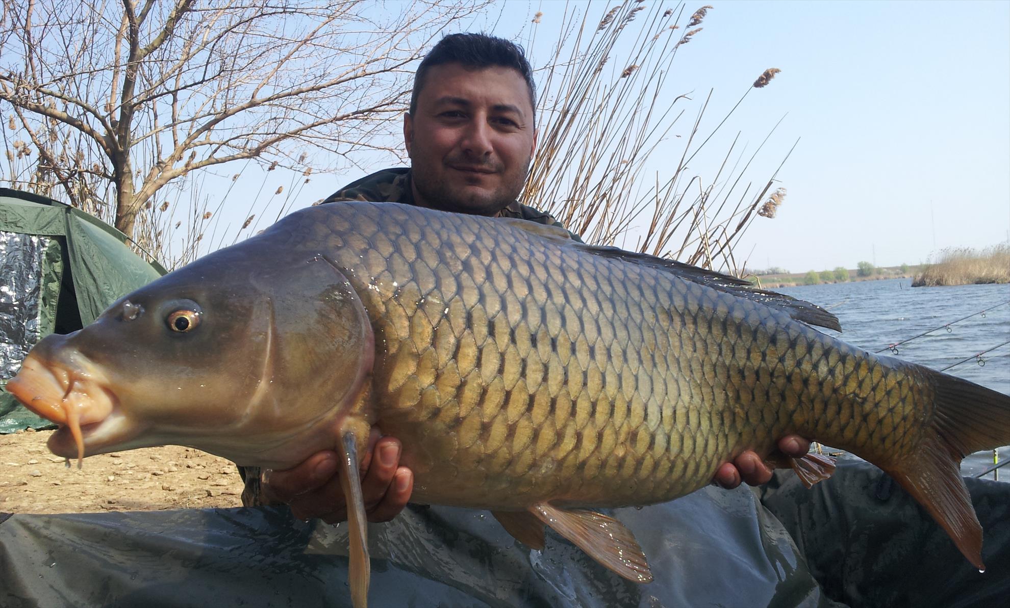 Tancabesti 28 - 29 mar. - 20140329131134.jpg